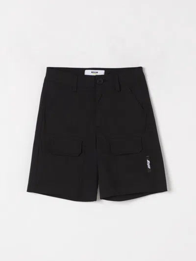 Msgm Shorts  Kids Kids Color Black