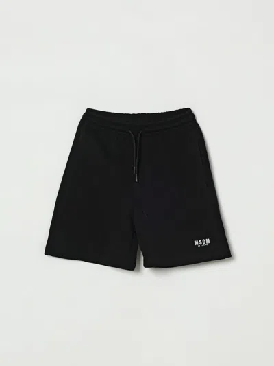 Msgm Shorts Kids  Kids In Black