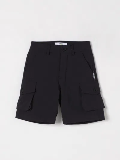 Msgm Shorts  Kids Kids Color Blue
