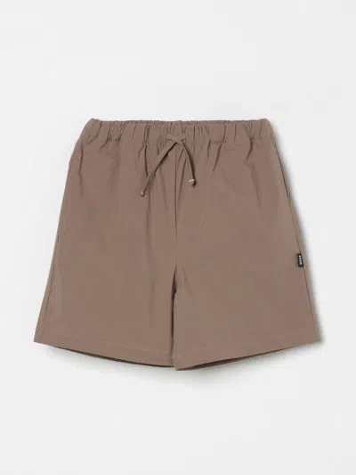 Msgm Shorts  Kids Kids Color Brown