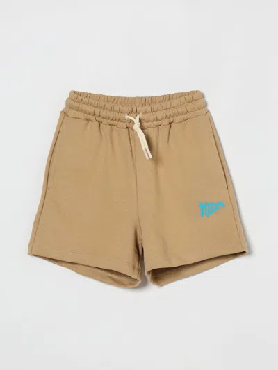 Msgm Shorts Kids  Kids In Brown
