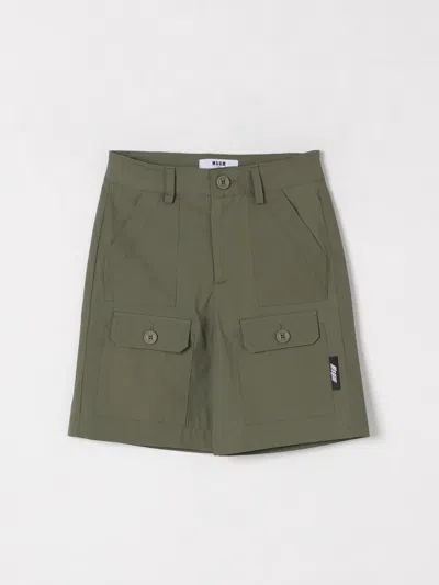 Msgm Shorts  Kids Kids Color Green