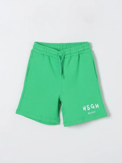Msgm 短裤  Kids 儿童 颜色 绿色 In Green