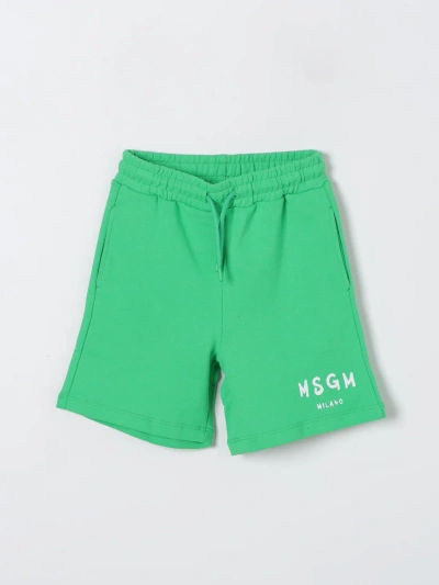 Msgm Shorts  Kids Kids Color Green In Green