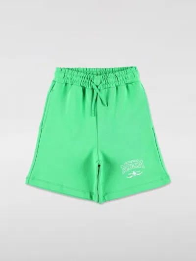 Msgm Shorts  Kids Kids Color Green
