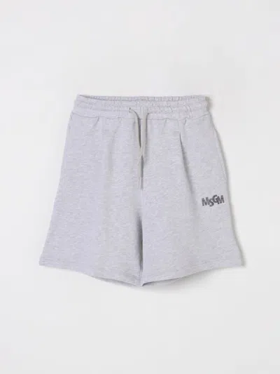 Msgm Shorts  Kids Kids Color Grey