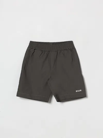 Msgm Shorts Kids  Kids In Gray