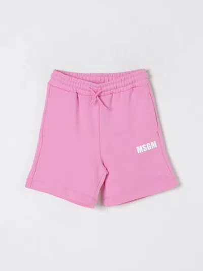 Msgm Shorts  Kids Kids Color Pink