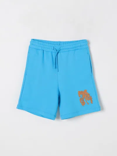 Msgm Shorts  Kids Kids Color Turquoise In Türkis