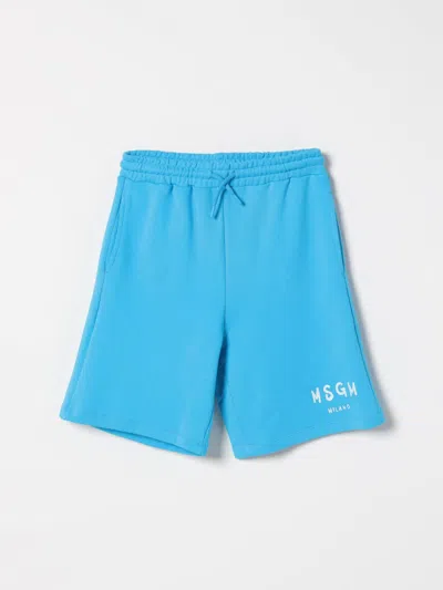 Msgm Shorts  Kids Kids Color Turquoise In Türkis