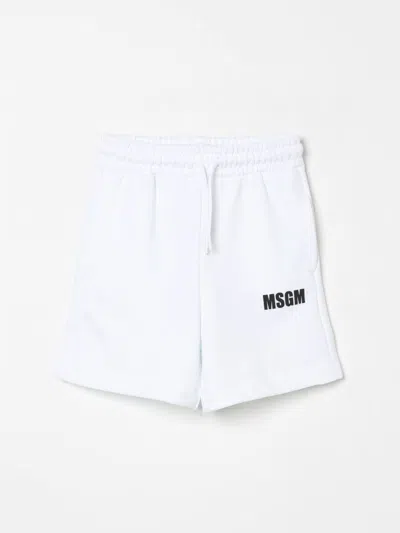 Msgm Shorts  Kids Kids Color White