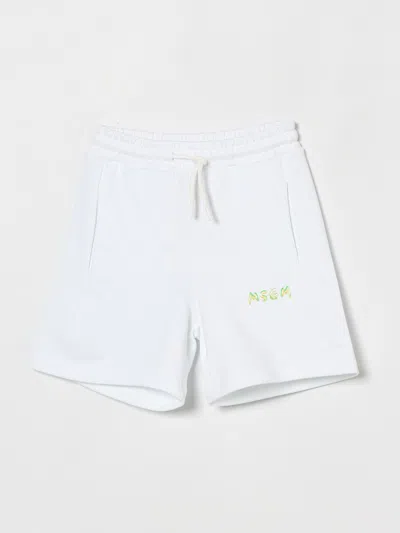Msgm Shorts Kids  Kids In White