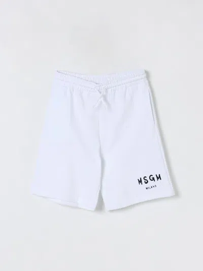 Msgm Shorts  Kids Kinder Farbe Weiss In Weiss