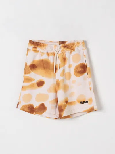 Msgm Shorts  Kids Kids Color Yellow Cream