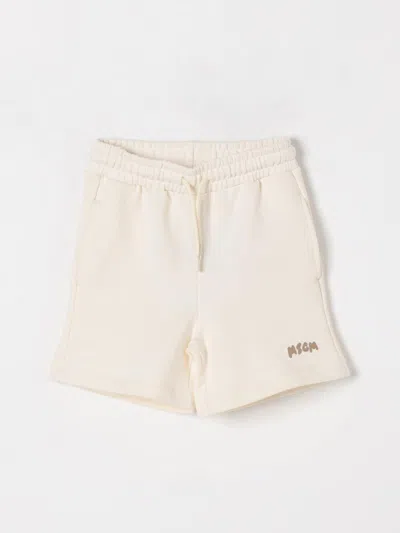 Msgm Shorts  Kids Kids Color Yellow Cream