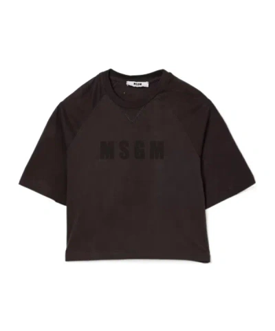 Msgm Short-sleeved T-shirt In Brown