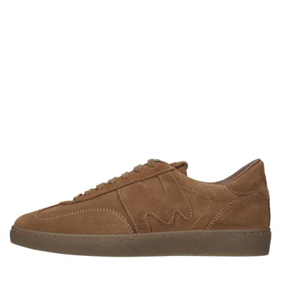 Msgm Sneakers In Marrone Scuri