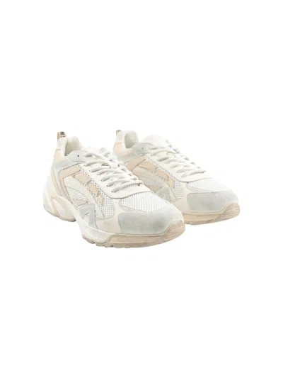 Msgm Sneakers  In White