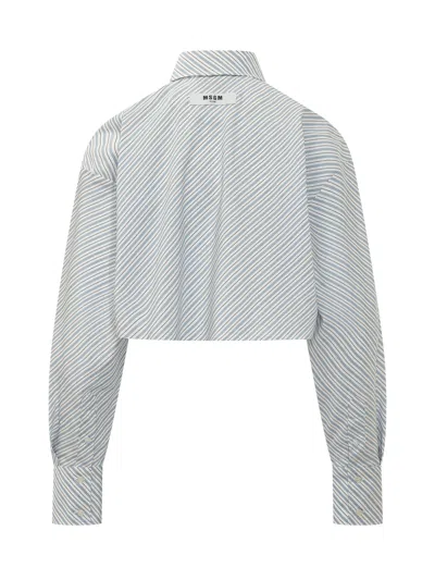 Msgm Snow White Graphic Shirt