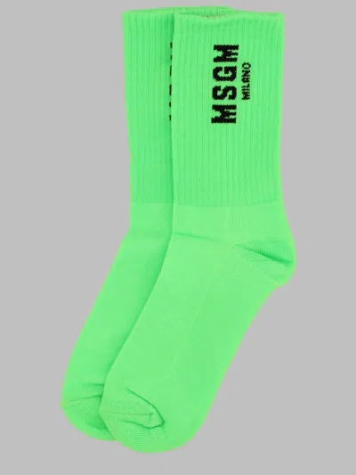 Msgm Socks In Green