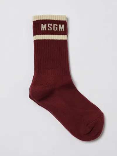 Msgm Socks  Kids Kids Color Pink In Red