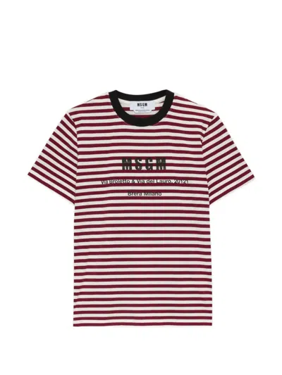 Msgm Striped Crew Neck T-shirt In Multi