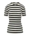 Msgm Striped Fitted T-shirt In Black