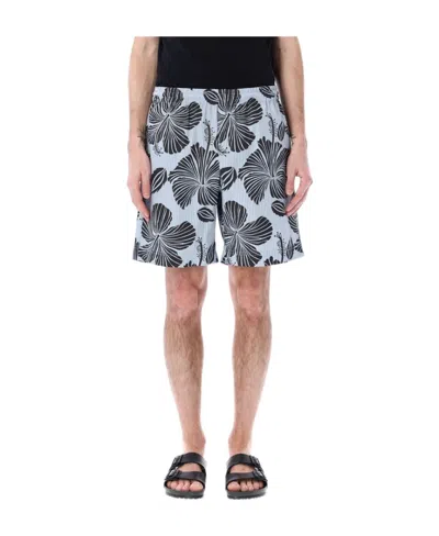 Msgm Striped Hibiscus Printed Shorts In Multicolor
