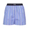 Msgm Cotton Poplin Shorts In Purple
