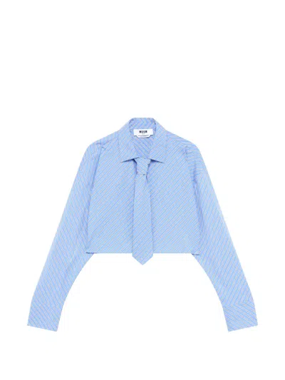 Msgm Stripe-pattern Cropped Shirt In Blue