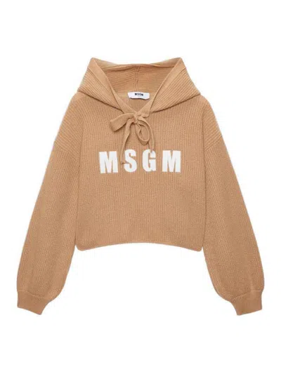 Msgm Short Sweatshirt With Logo In Brown