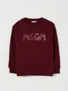 Msgm Sweater  Kids Kids Color Burgundy