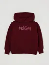 Msgm Sweater  Kids Kids Color Burgundy In Burgundy
