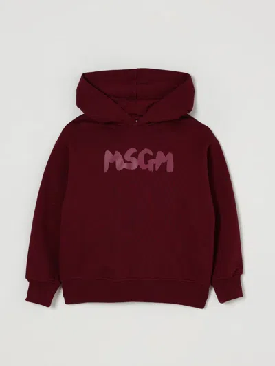 Msgm Sweater  Kids Kids Color Burgundy