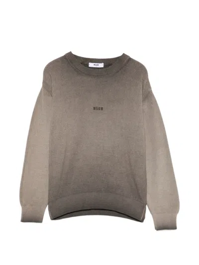 Msgm Sweater With  Kids Logo In Brown