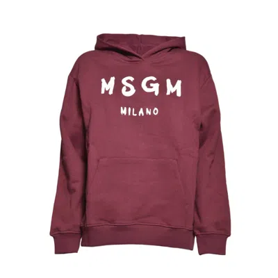 Msgm Sweaters In Burgundy