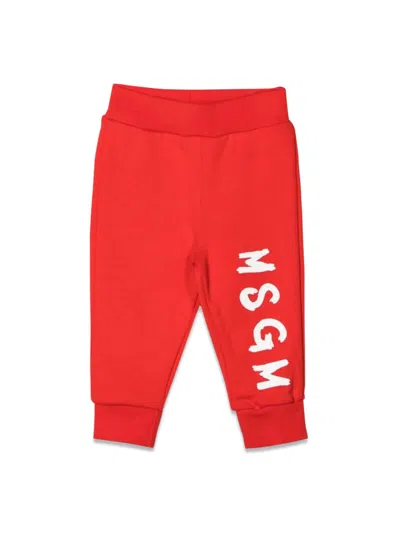 Msgm Kids' Sweatpants In Red
