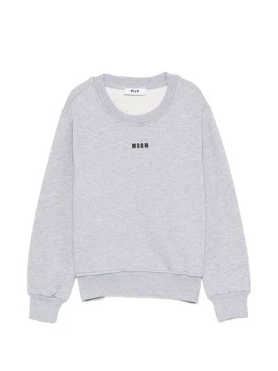 Msgm Sweatshirt With  Kids Logo Print In Gray
