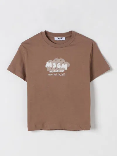 Msgm T-shirt  Kids Kids Color Brown