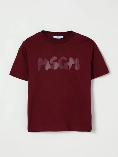 Msgm T-shirt  Kids Kids Color Burgundy