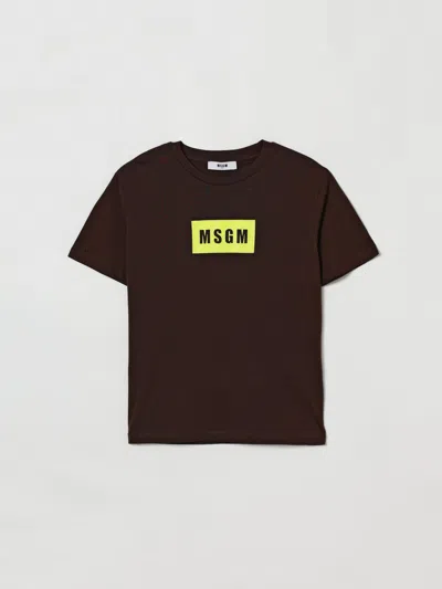 Msgm T-shirt Kids  Kids In Brown