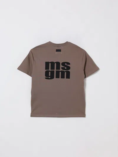 Msgm T-shirt  Kids Kids Color Dove Grey In Brown