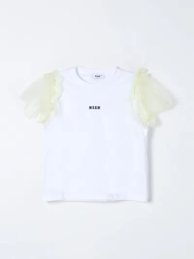 Msgm T-shirt  Kids Kids Colour White