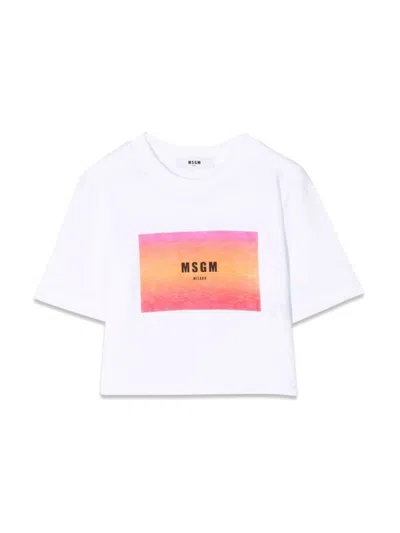 Msgm Kids' T-shirt In White