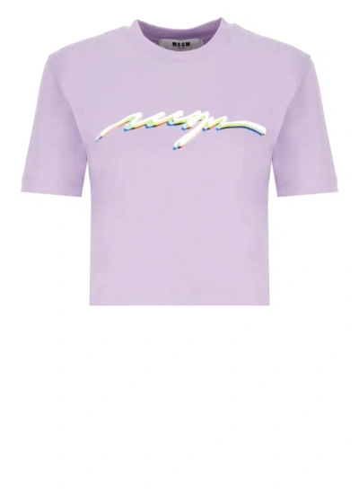 Msgm T-shirt With Logo In Purple