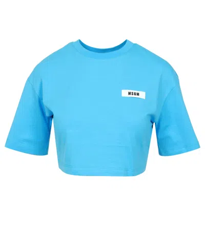 Msgm T Shirts And Polos Clear Blue