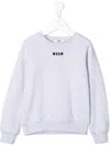 Msgm Tasselled Logo Print Sweatshirt In Grey