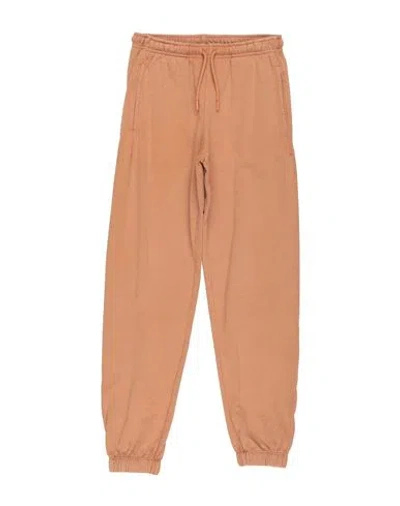 Msgm Babies'  Toddler Boy Pants Camel Size 6 Cotton In Brown