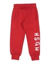 Msgm Toddler Boy Pants Red Size 6 Cotton In Red