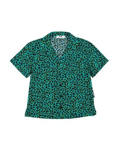 Msgm Babies'  Toddler Boy Shirt Turquoise Size 6 Cotton In Blue
